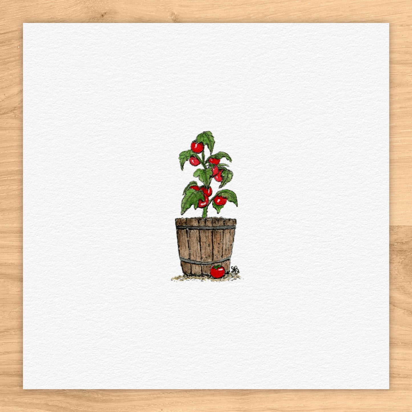 Tomato Plant Tiny Art Watercolor Print